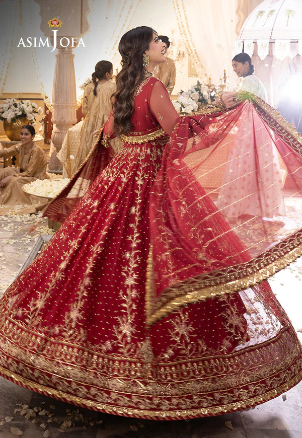 Asim Jofa Shehnai-AJSH-06 EMBROIDERED NET 3 PCS